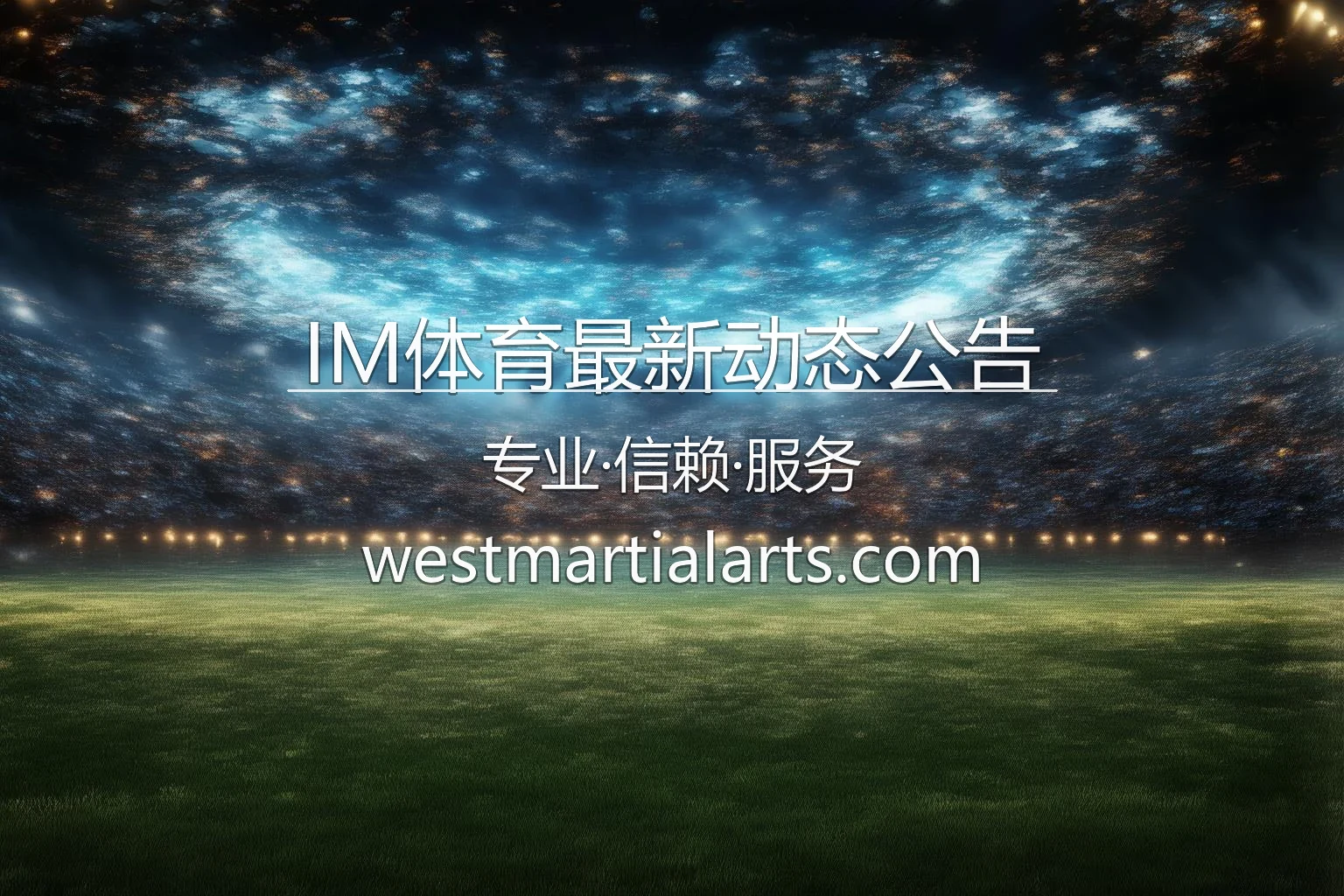 IM体育最新动态公告官方展示图